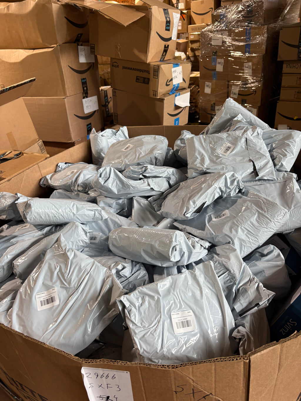 Gaint Homegoods Surprise Box